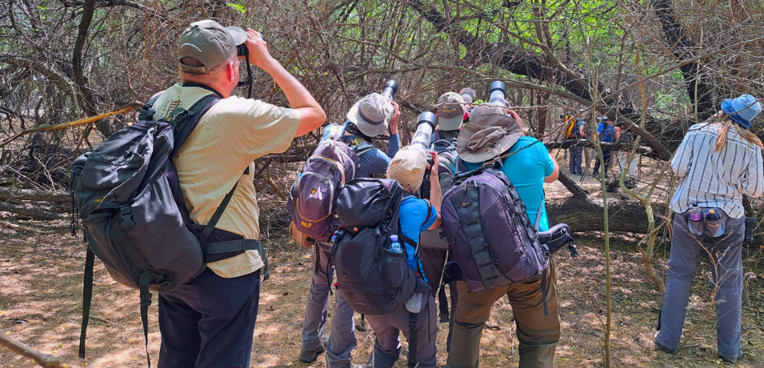 Birdwatching In Sultanpur