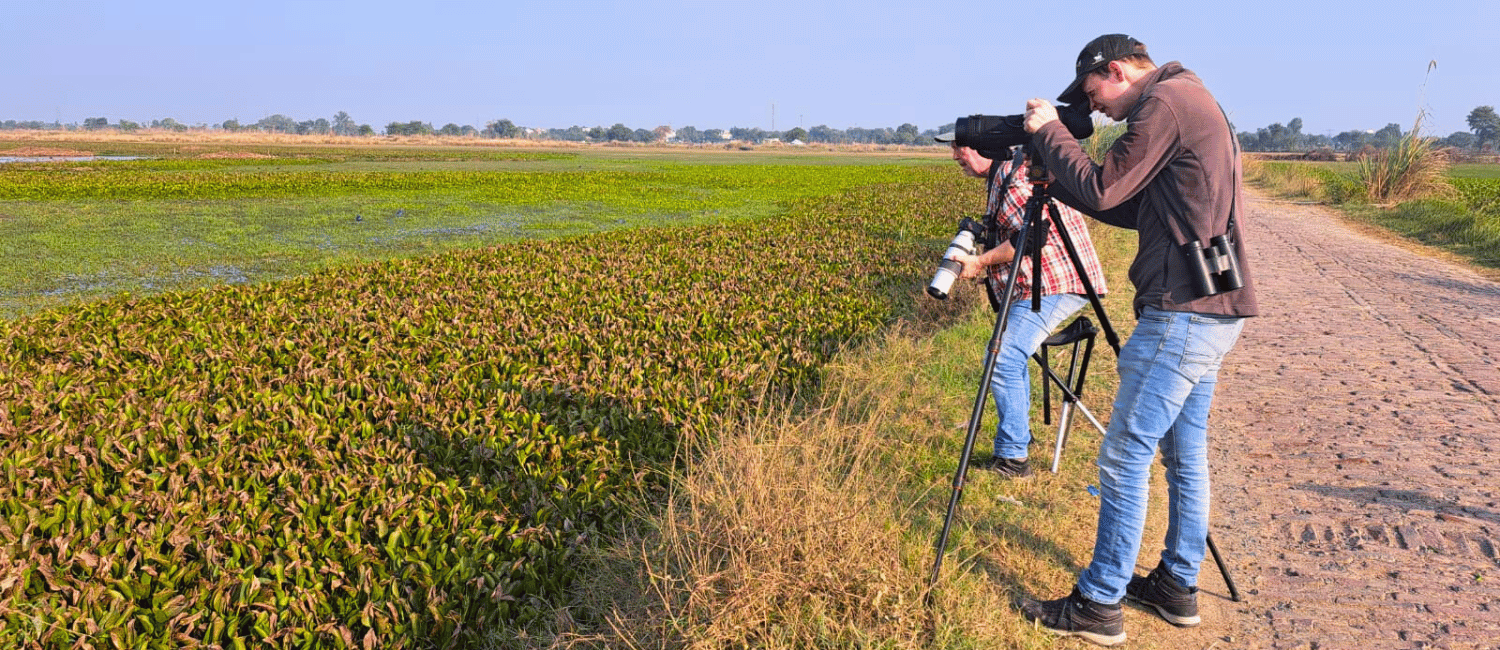 Dhanauri Wetlands