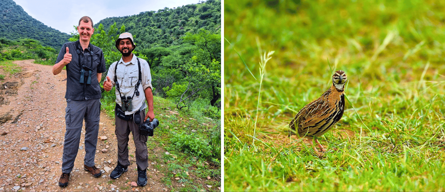 Sonkhaliya birdwatching