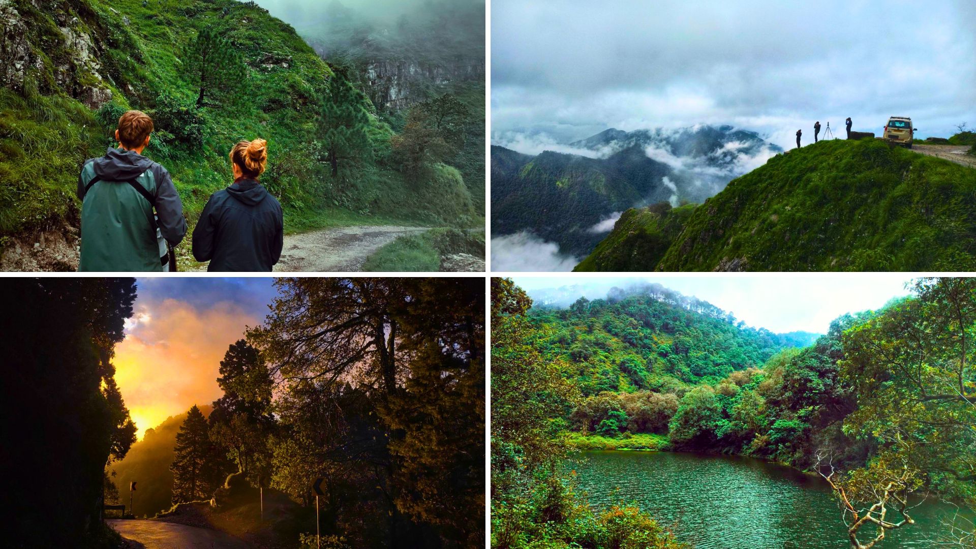 birding in the monsoon season