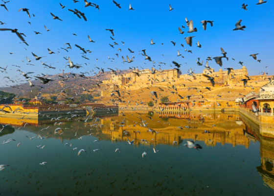 jaipur forts