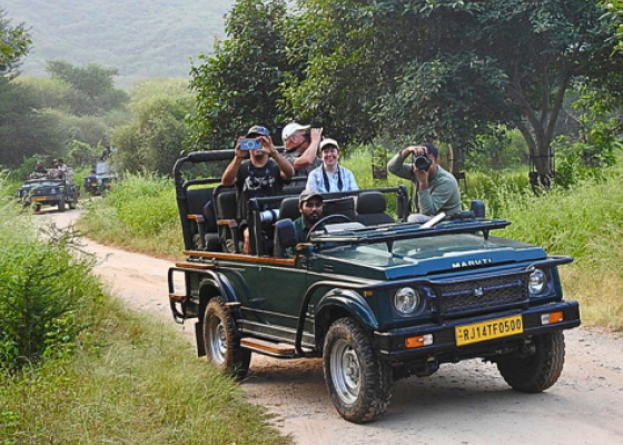 jhalana safari