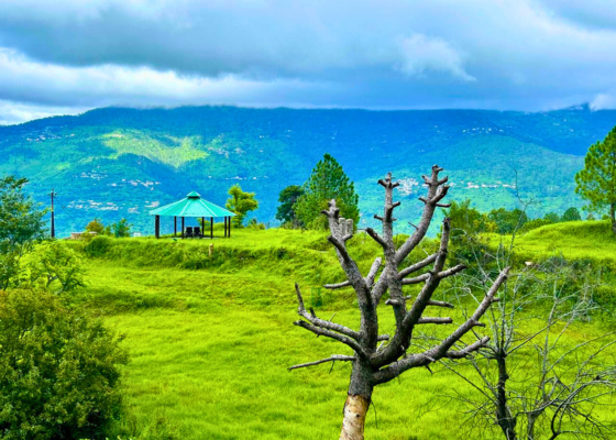 Hotel In Ranikhet