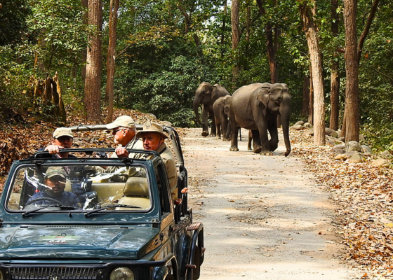 corbett national park